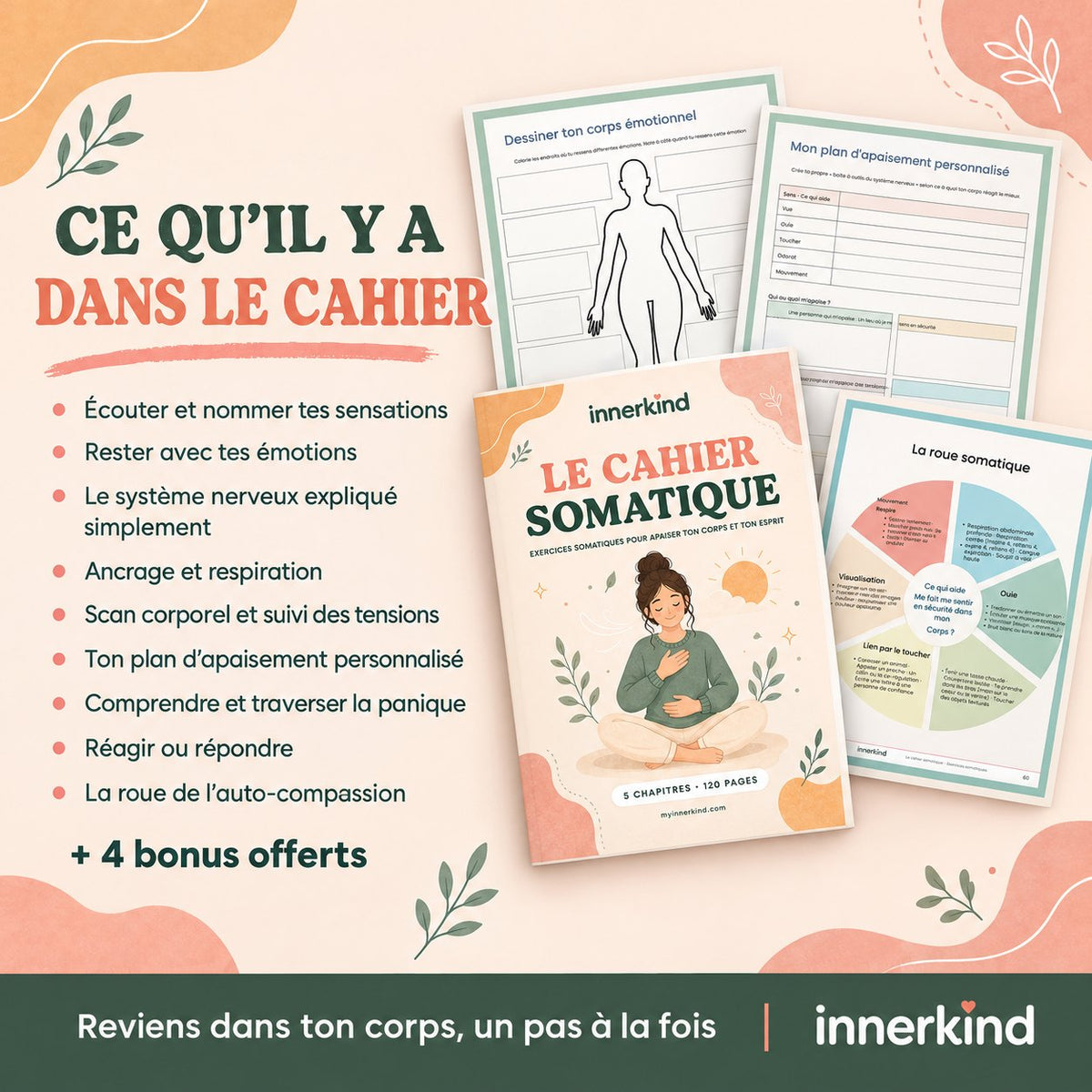 Ce qu'il y a dans le cahier somatique
